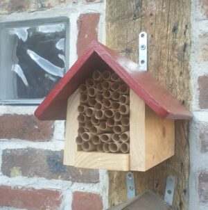 Maisonnette à abeilles maçonnes